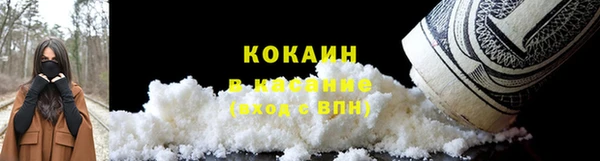 индика Алзамай