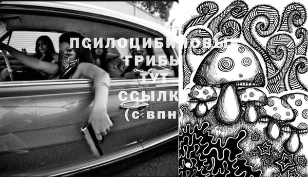 индика Алзамай