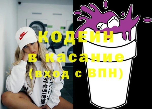 индика Алзамай
