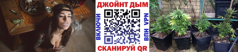 Бошки марихуана план  где купить наркоту  Кольчугино 